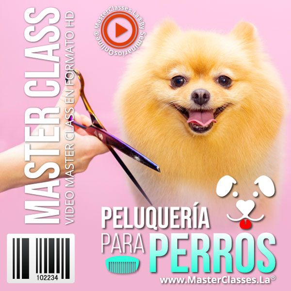 Curso de Peluquería Para Perros