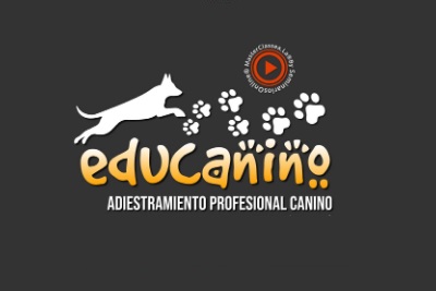 El Mejor Curso de Educanino Adiestramiento Canino Del 2025 4 educaninoadiestramiento