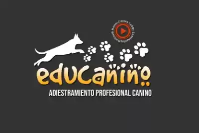 Educanino es el único programa completo de adiestramiento canino en español