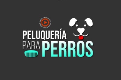peluqueriaparaperros